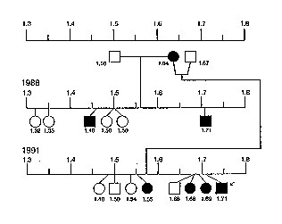 irish setter pedigree