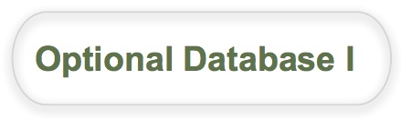 optional database I